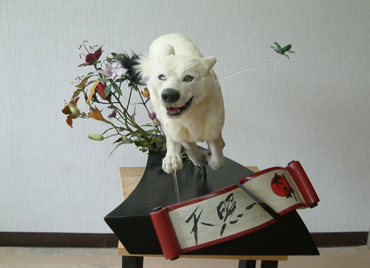 大神 植毛模型