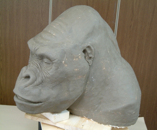 ゴリラ の頭部の制作過程