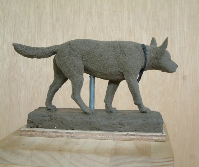 犬 の右側面