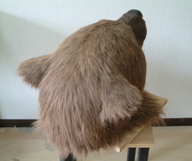 熊 の後頭部
