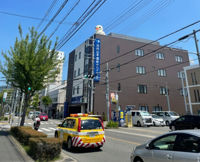 ひよこ 7枚目